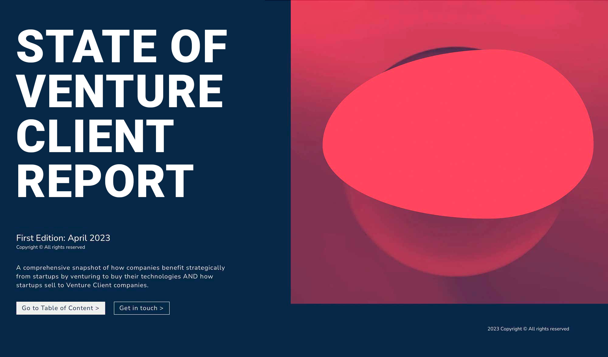 Venture Client report
